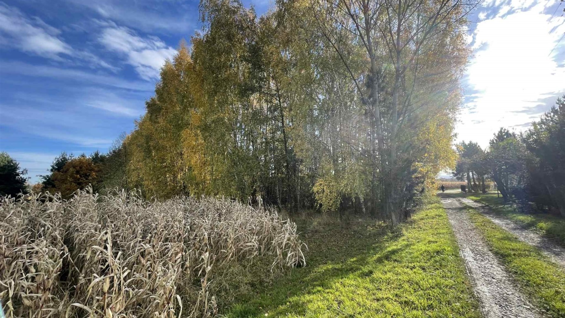 Działka na sprzedaż