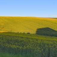 Dom na sprzedaż